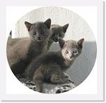 Balcony_a_5,5 weeks * 640 x 629